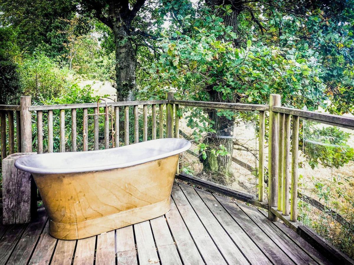 Vila Bensfield Treehouse Wadhurst Exteriér fotografie